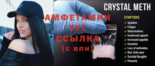 прущие грибы Куйбышев