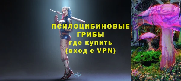 прущие грибы Куйбышев
