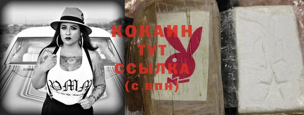 прущие грибы Куйбышев