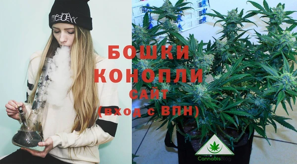прущие грибы Куйбышев