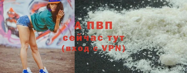 прущие грибы Куйбышев