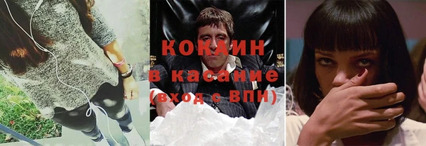 прущие грибы Куйбышев